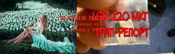 дурь Михайлов