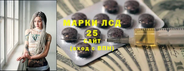 стафф Михайловск