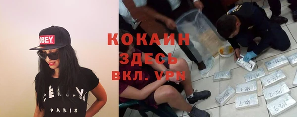 стафф Михайловск