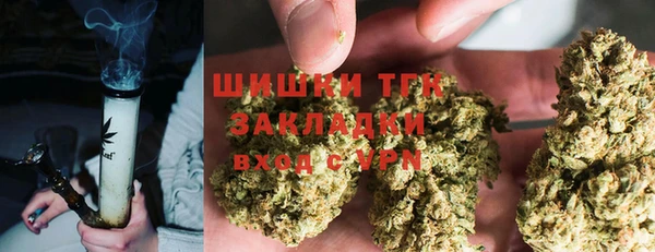 стафф Михайловск
