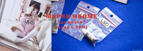 стафф Михайловск