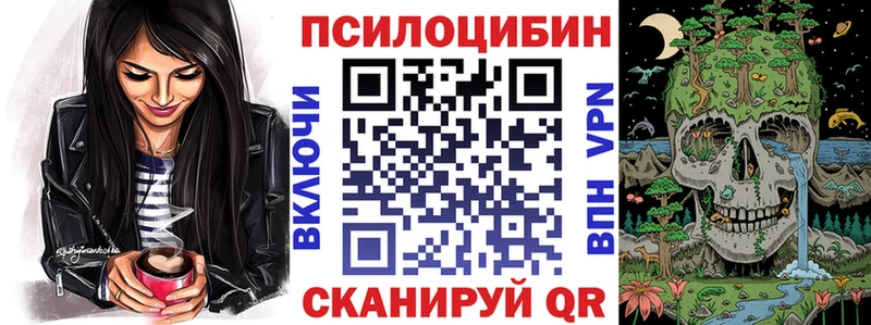 Галлюциногенные грибы Psilocybe  мега ССЫЛКА  Кызыл  продажа наркотиков 