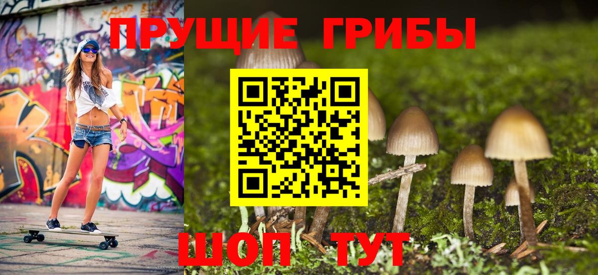 где купить   Псилоцибиновые грибы Psilocybe  Вход с VPN  Псилоцибиновые грибы GOLDEN TEACHER  Кызыл 