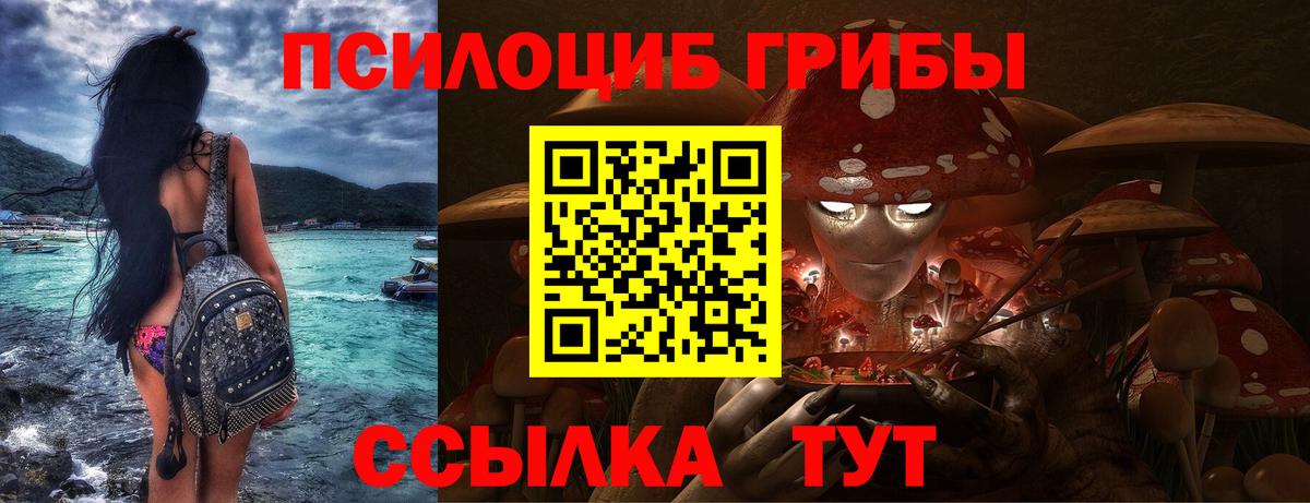 Псилоцибиновые грибы GOLDEN TEACHER Кызыл